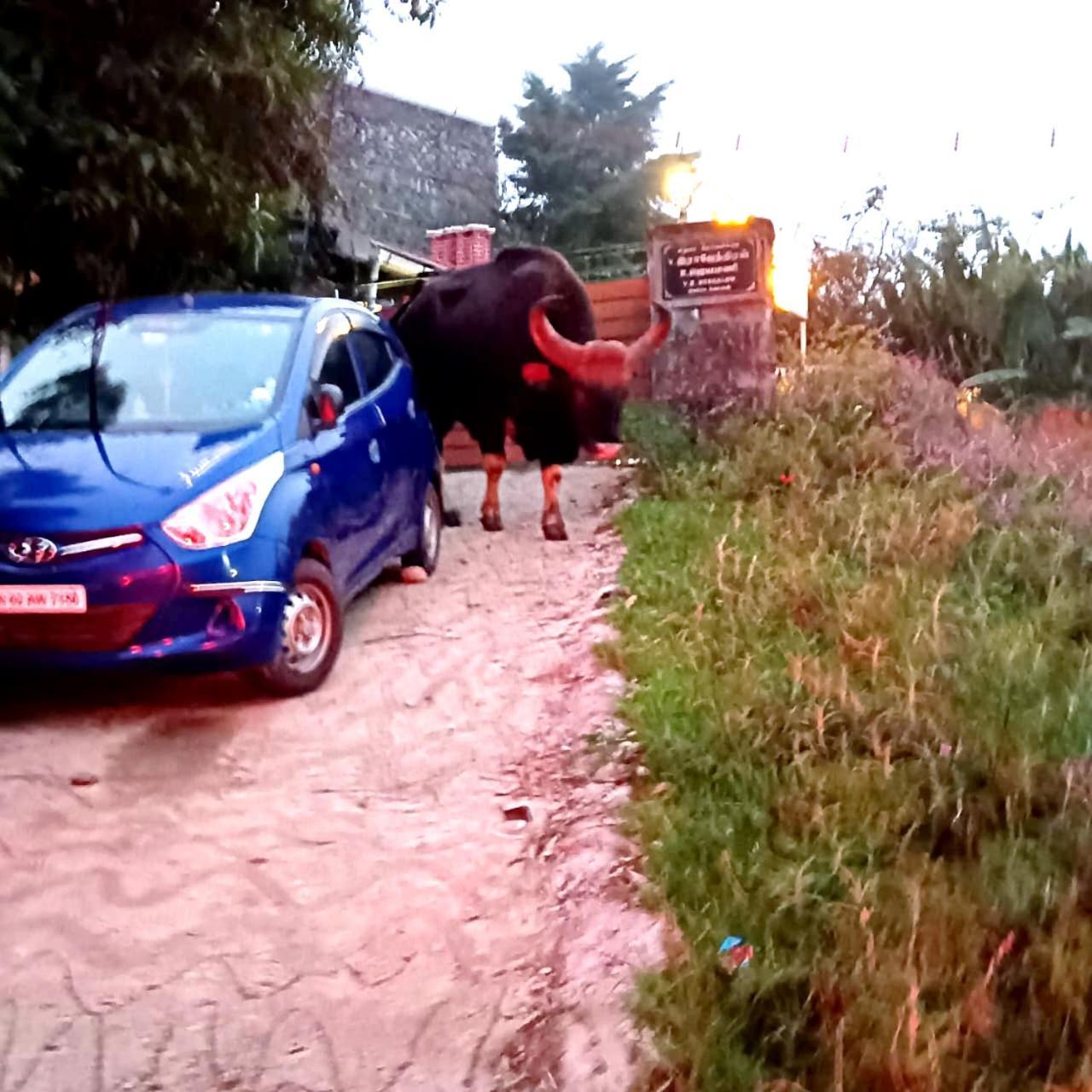 Kodai Riya Paradise Kodaikanal Eksteriør billede