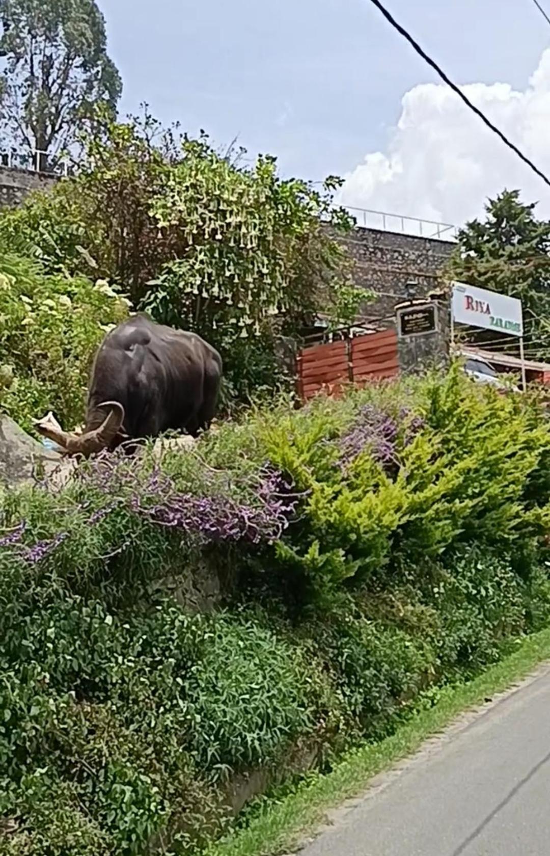 Kodai Riya Paradise Kodaikanal Eksteriør billede